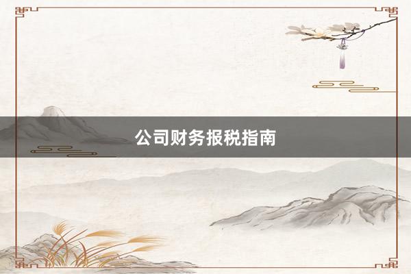 公司财务报税指南