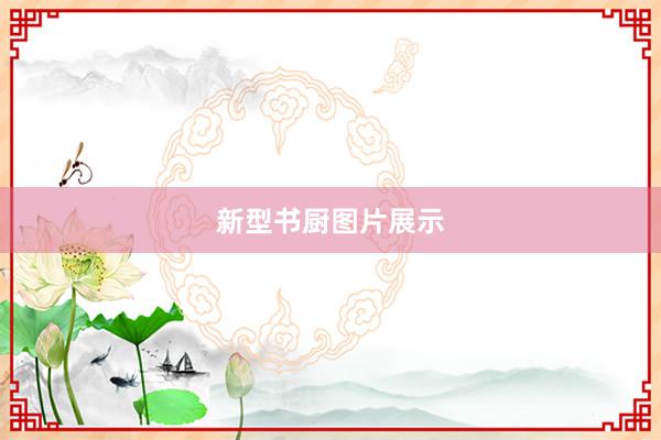 新型书厨图片展示